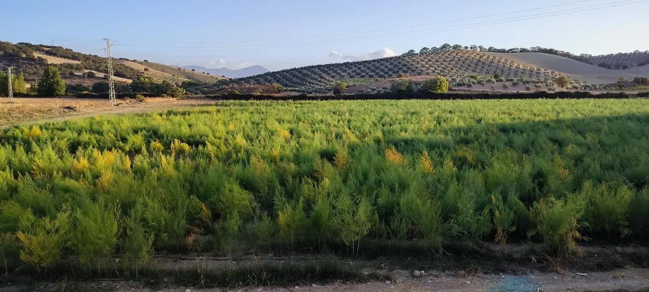 Vivienda Turistica Rural Villa Granada Spain